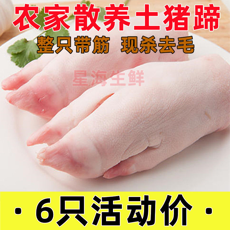 顺丰 猪蹄新鲜整只现杀带筋猪蹄子猪手猪脚前蹄后蹄猪产品
