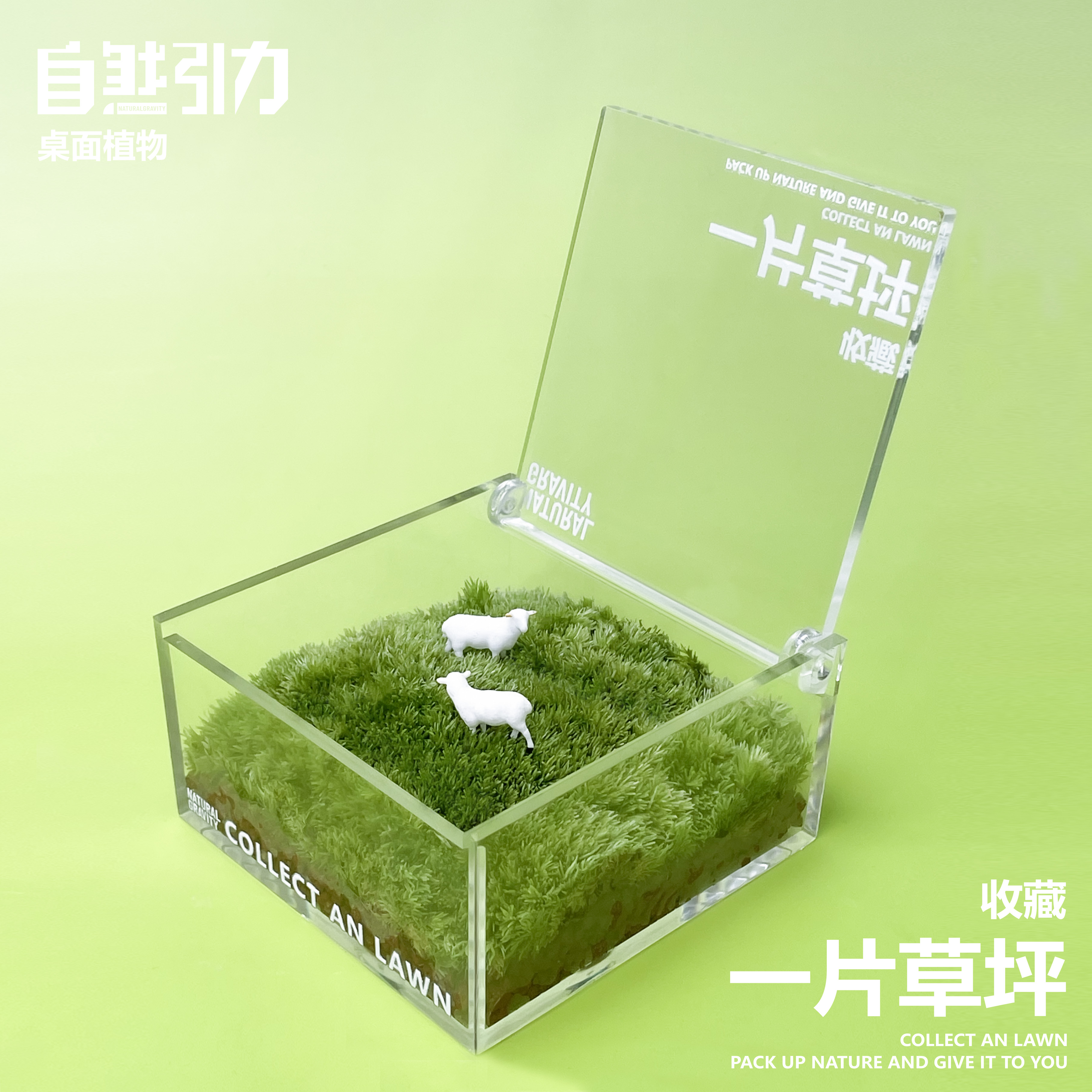 一片草坪自然引力官方牛马摆件桌面植物苔藓微景观生态瓶走心礼物