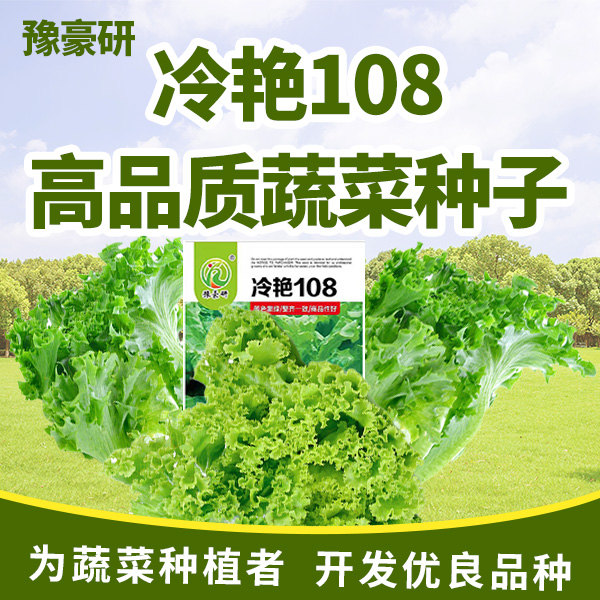 冷艳108优质绿色生菜种子耐寒耐热性强秋冬四季蔬菜种子种植