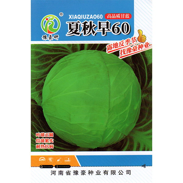 夏秋早60早熟夏秋圆球甘蓝种子抗热耐热脆嫩蜡粉少耐抽薹蔬菜种子