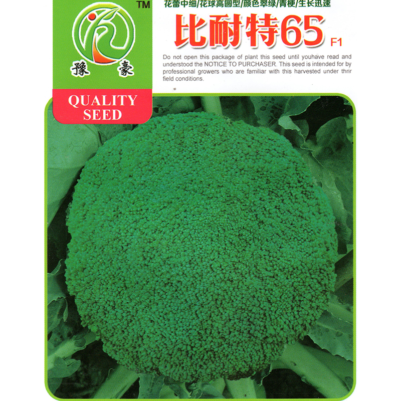 比耐特65耐寒露地栽种高圆型花球青梗细米粒65天西兰花蔬菜种子