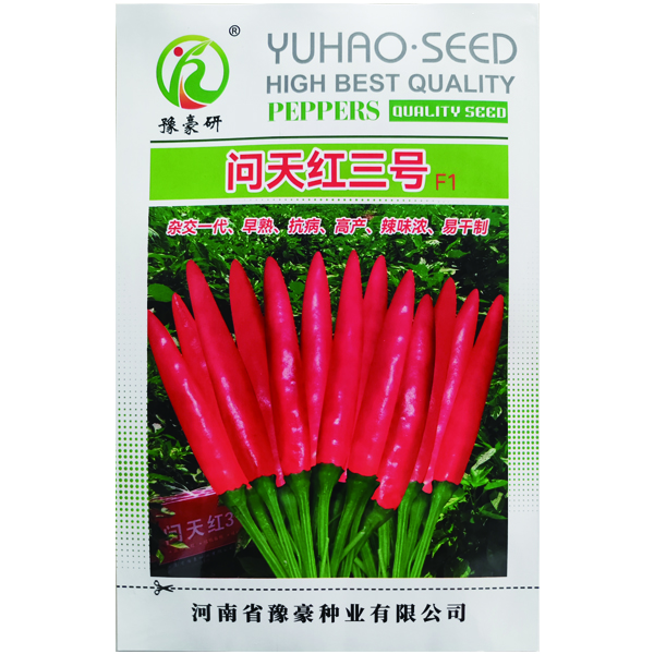  问天红三号杂交早熟高产抗病辣椒种子早春种植育苗适宜浇水挂果