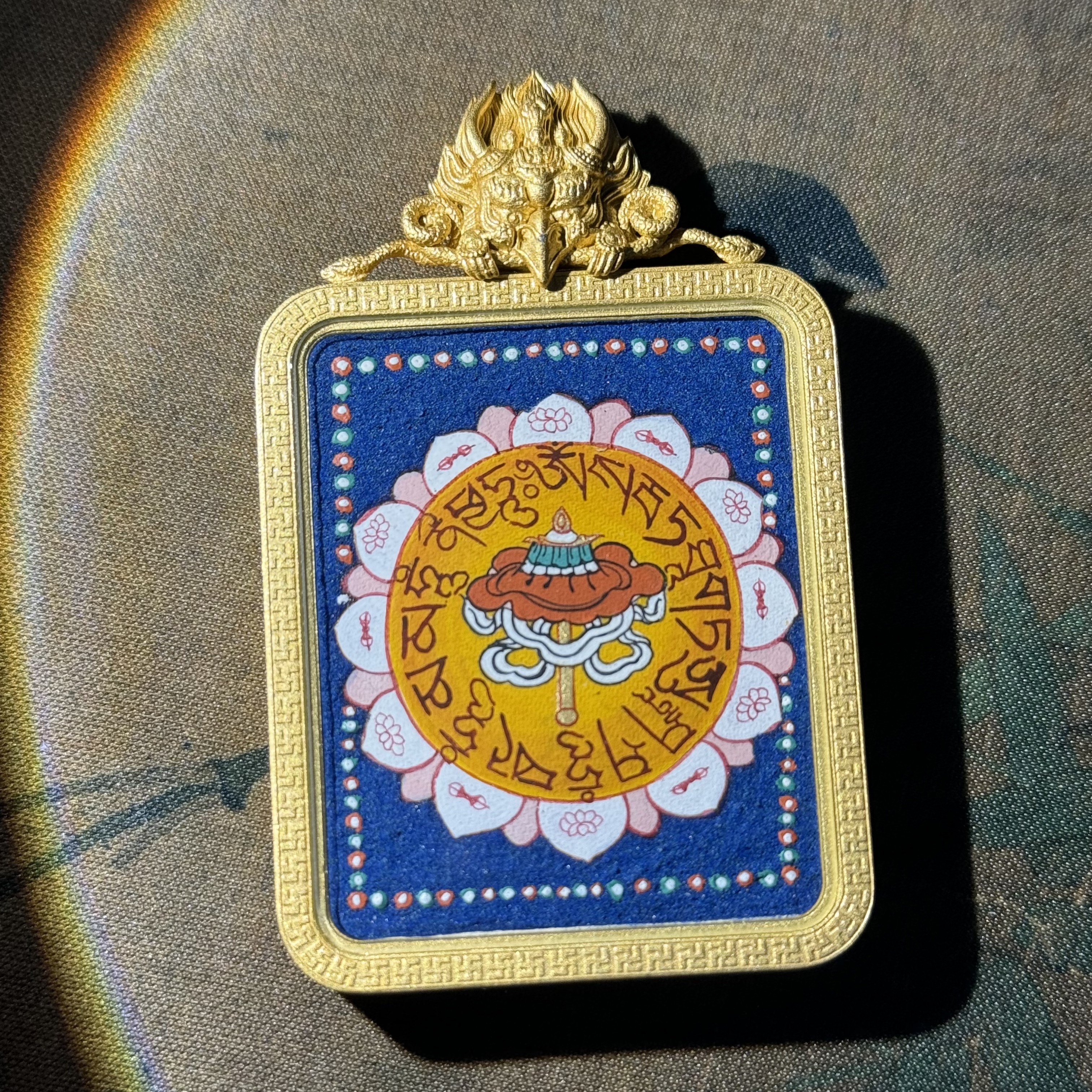 大白伞盖口口   粗颗粒 粗矿热贡带壳带绳