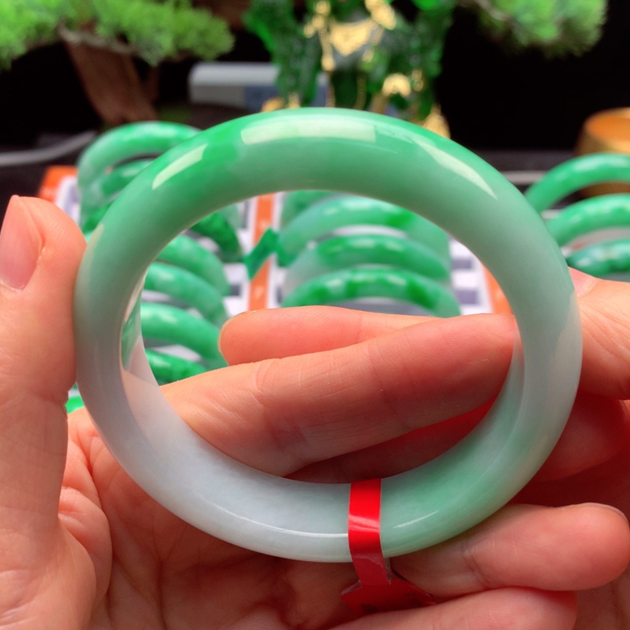 【闪购商品】翡翠手镯未镶嵌贺****活定金