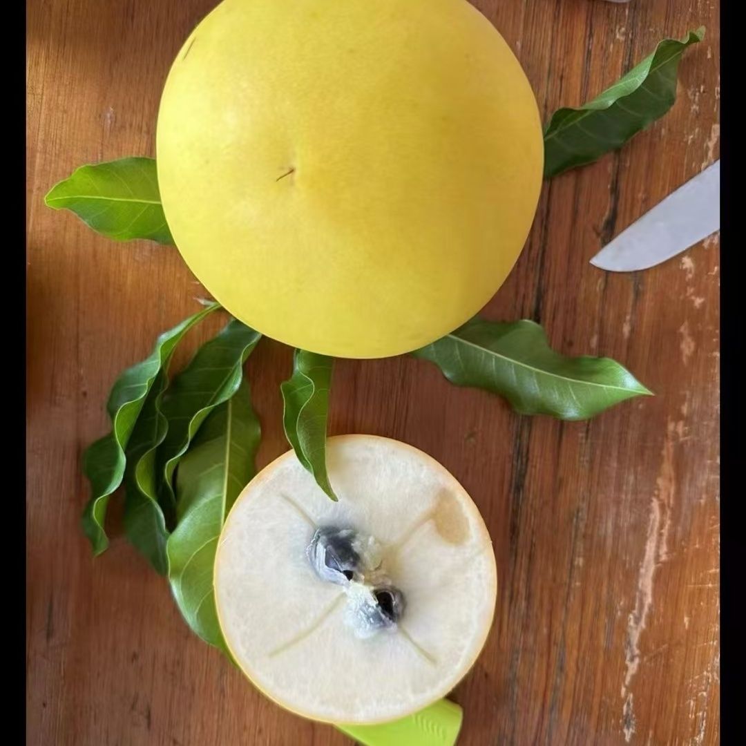 云南西双版纳稀奇黄晶果，新鲜当季雅美果非热带冰淇淋果，高端水果
