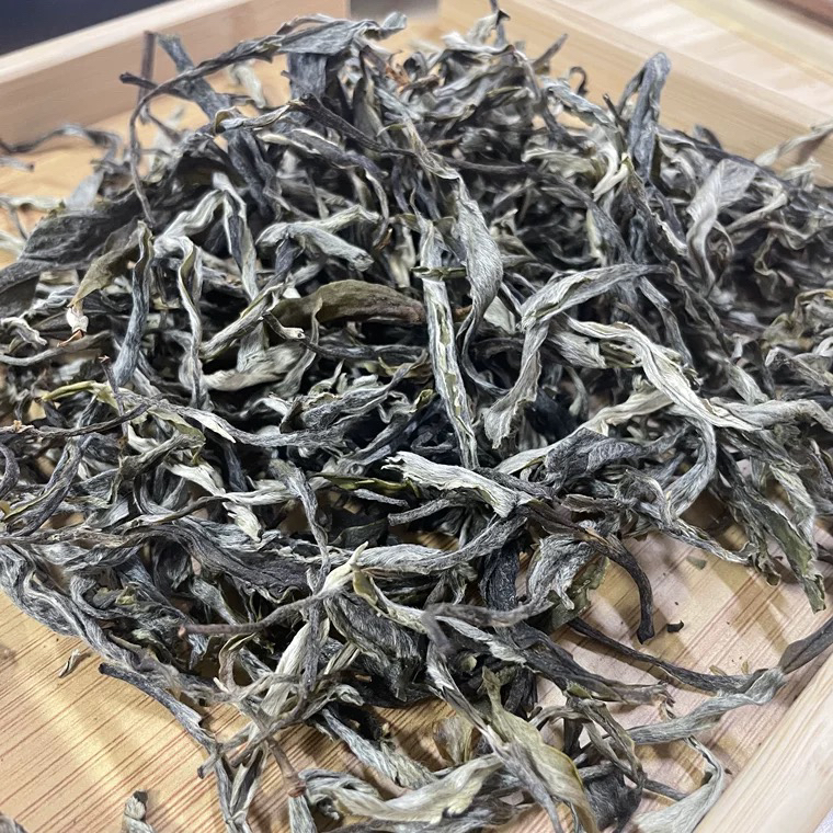 【蓝儿推荐】2025云南高山普洱茶（腾冲窜龙茶）