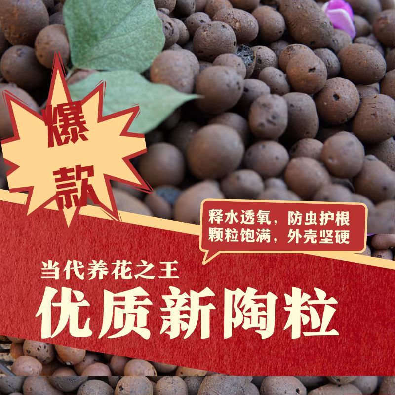 陶粒养花通用型盆垫底园艺多肉专卉球土植物铺面水培专用特价批发
