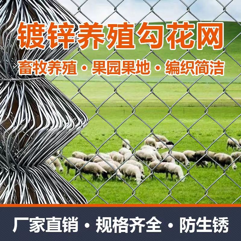5孔热镀锌铁丝网勾花网菱形网养殖荷兰网鸡鸭鹅猪牛羊防护网围栏