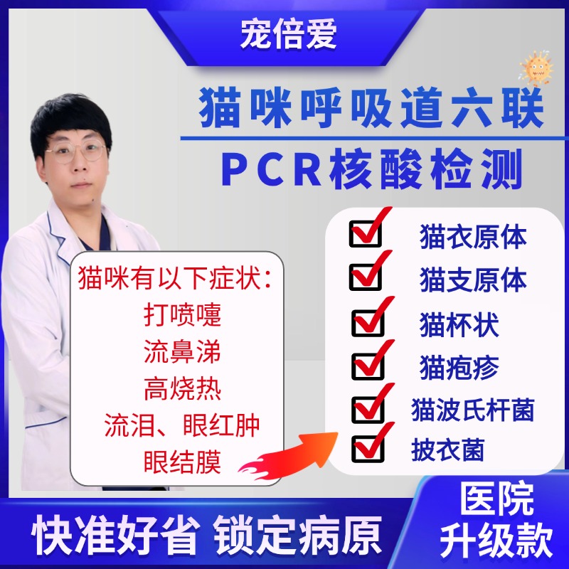 猫狗呼吸道六联pcr检测支原体疱疹杯状猫鼻支猫狗咳嗽喷嚏流鼻涕