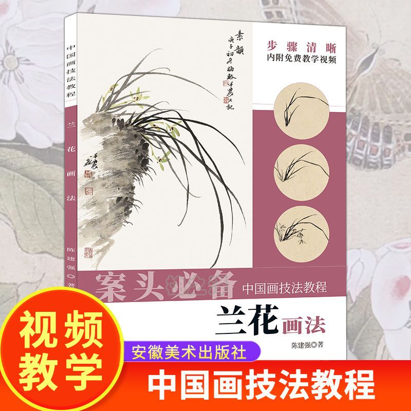 中国画技法教程 兰花画法 绘画教材陈建强著美术生课外书正版书籍