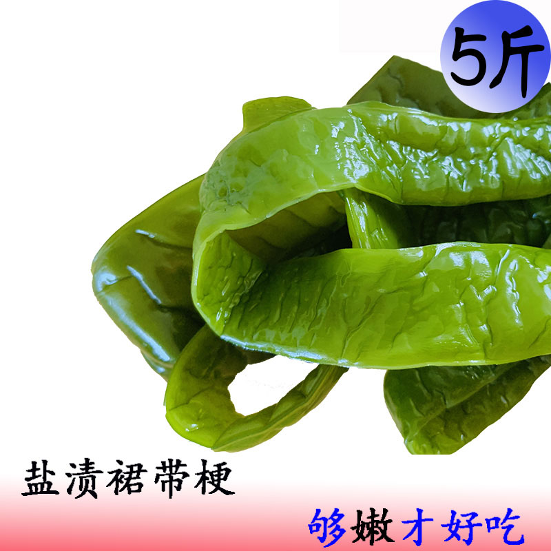 盐渍 嫩海白菜 裙带菜梗段 新鲜海藻海芥菜素菜五斤装