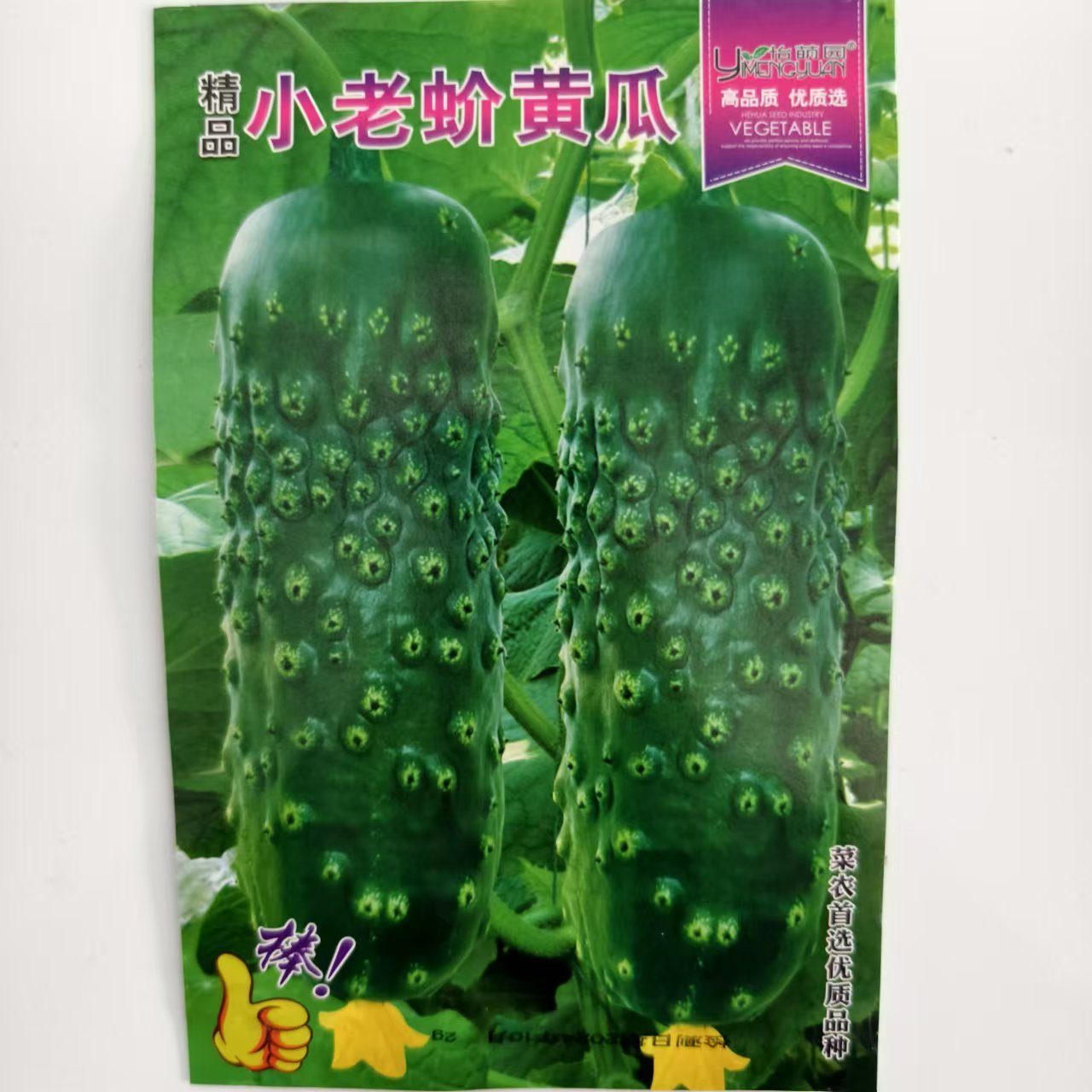 精品小老蚧黄瓜种子