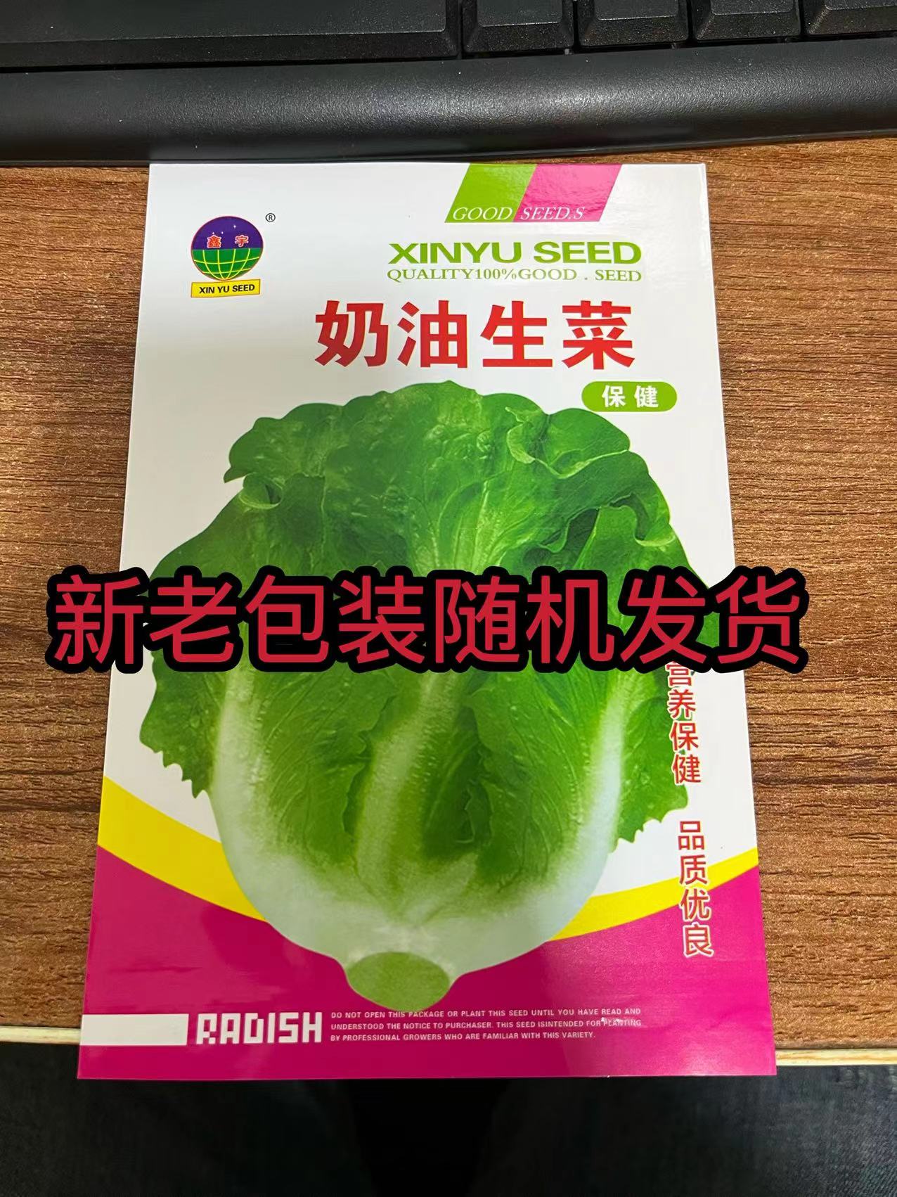 意大利生菜种子&&&