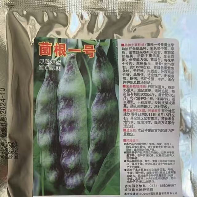菌根一号豆角种子