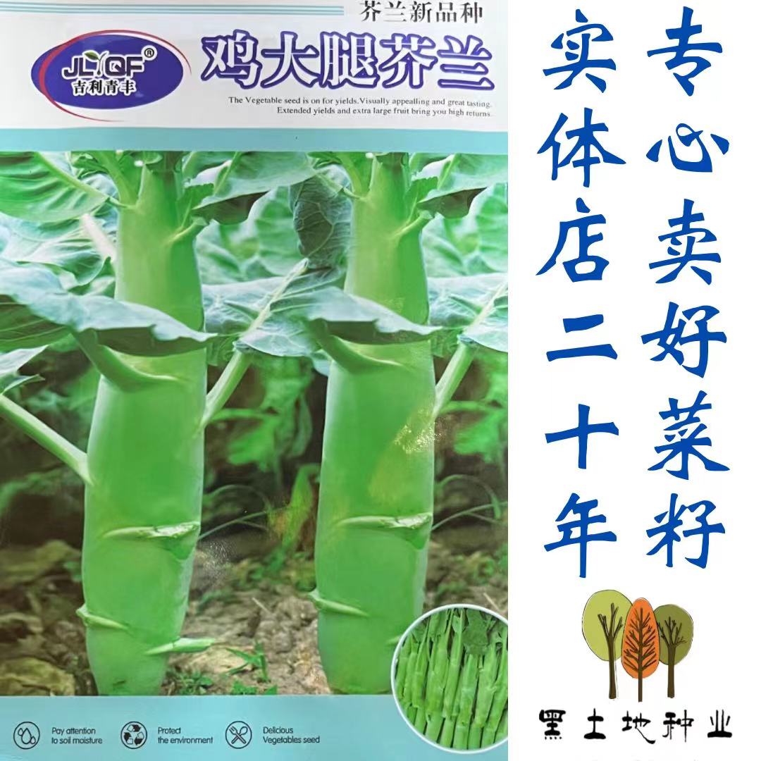 鸡大腿芥兰种子（芥兰新品种）