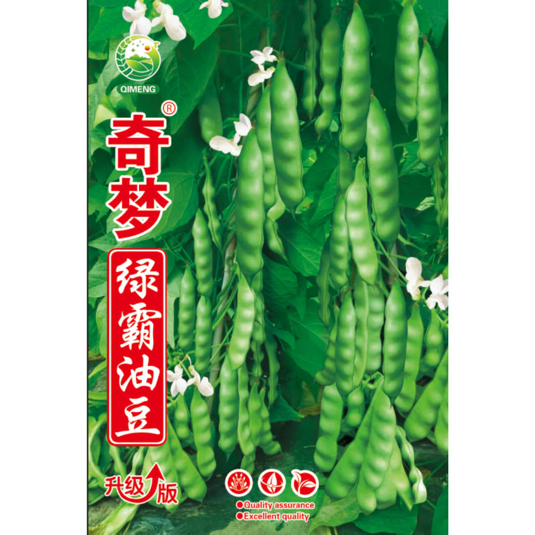 奇梦绿霸油豆角种子