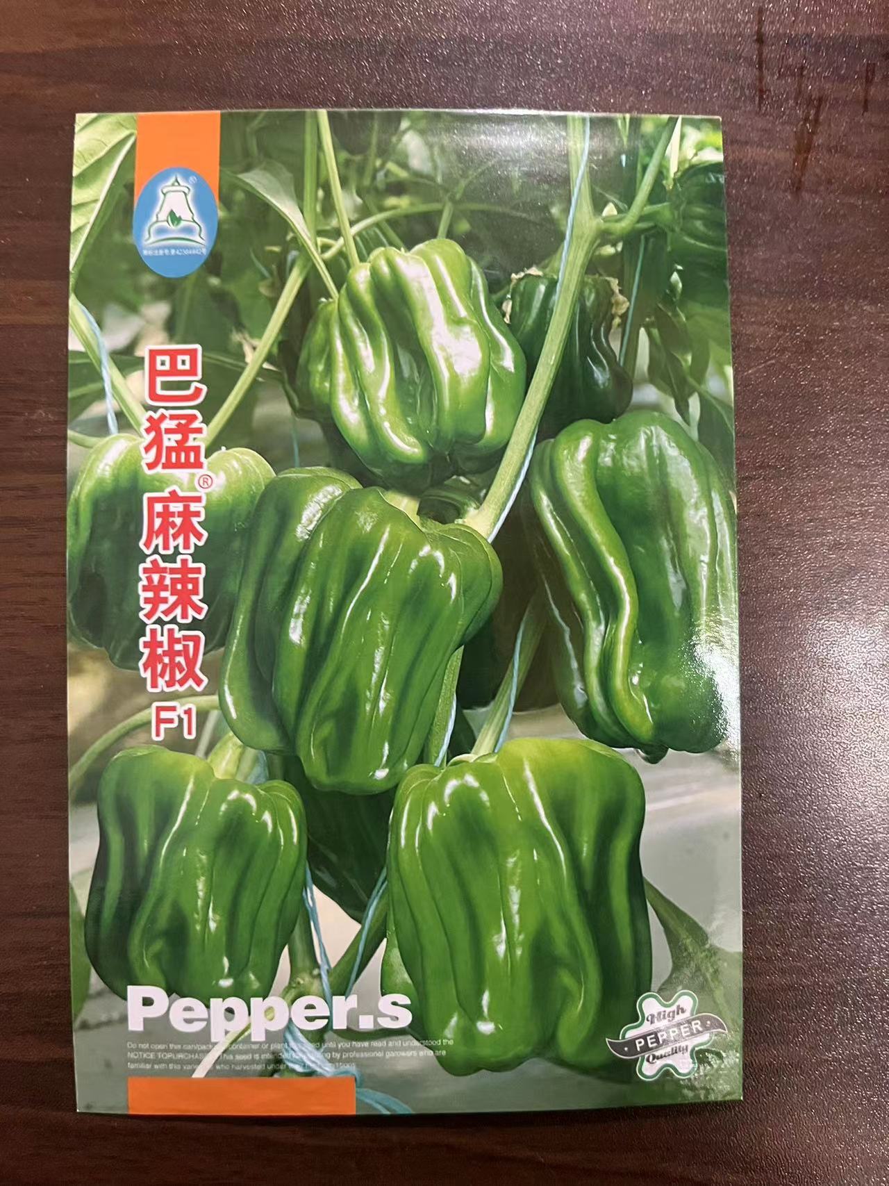 巴猛麻辣椒种子&