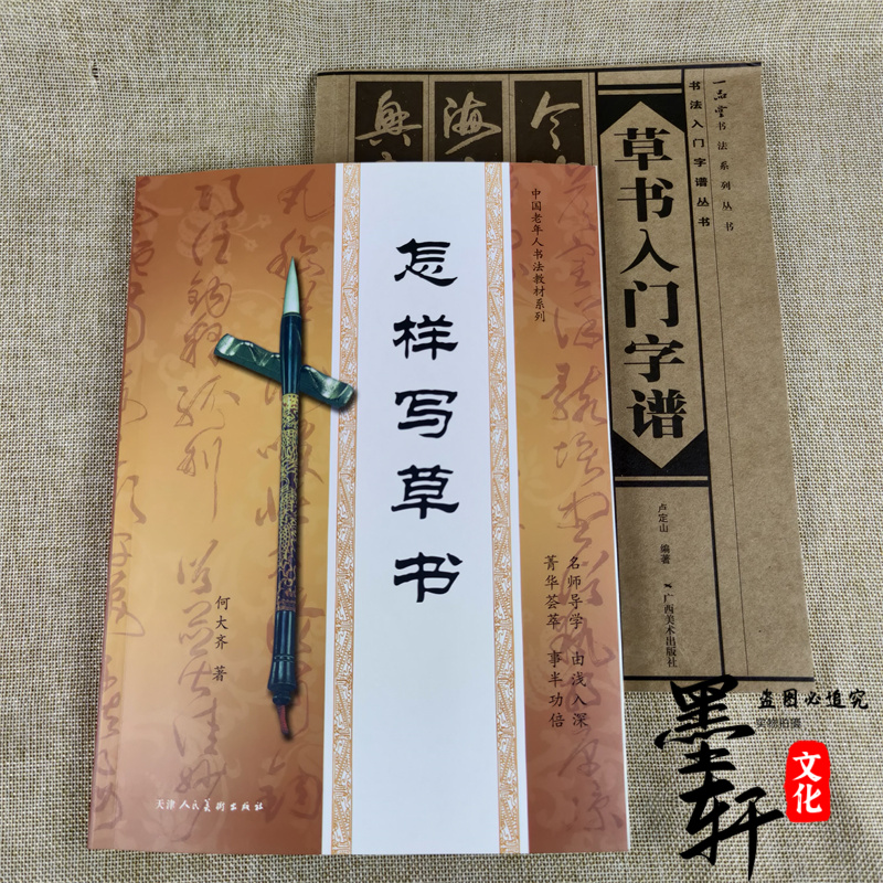 怎样写草书草书入门字谱毛笔书法教程初学者字帖临摹入门教材练字