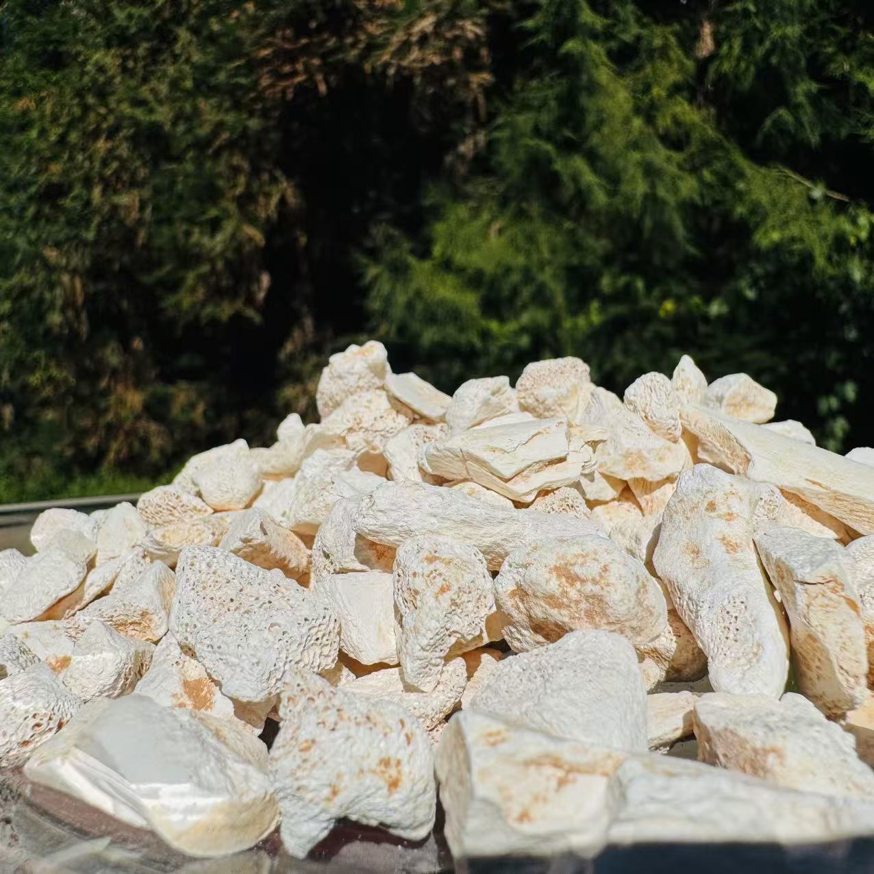 1【龙-骨】净含量50g-500g【阿虎现收】