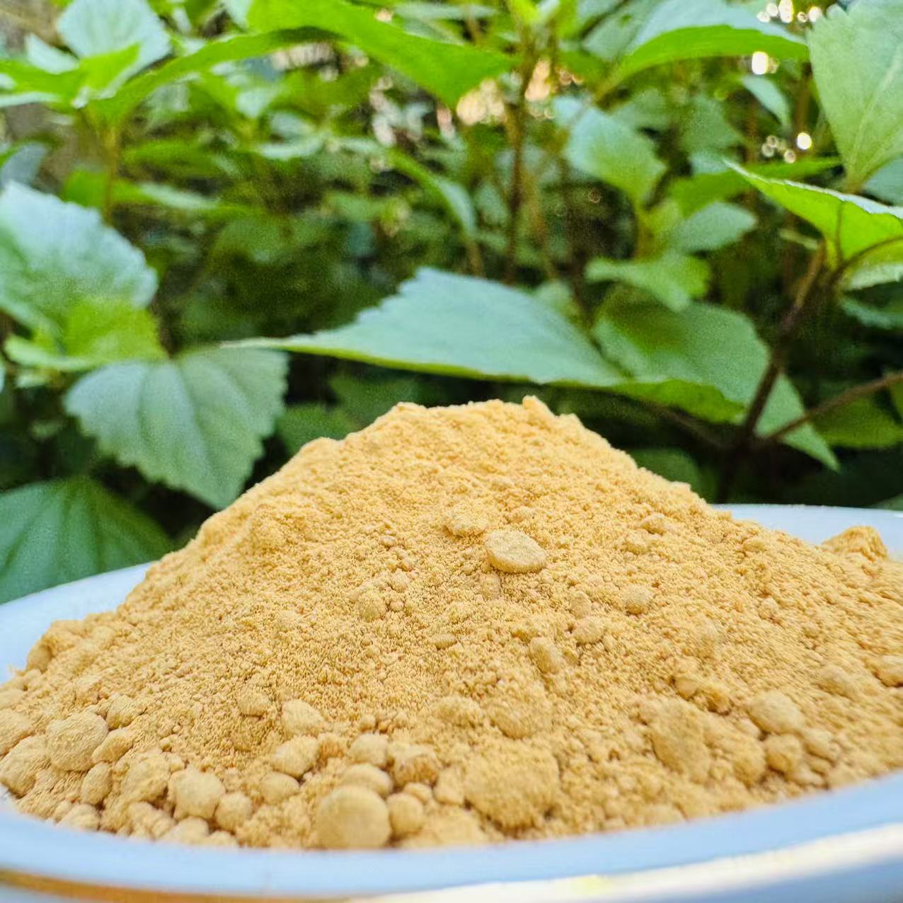 1【牛-黄】净含量10g-200g【阿虎现收】菌