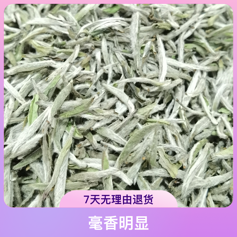 2023年头采【白毫银针】花香馥郁毫香明显茶汤甜柔大毫银针