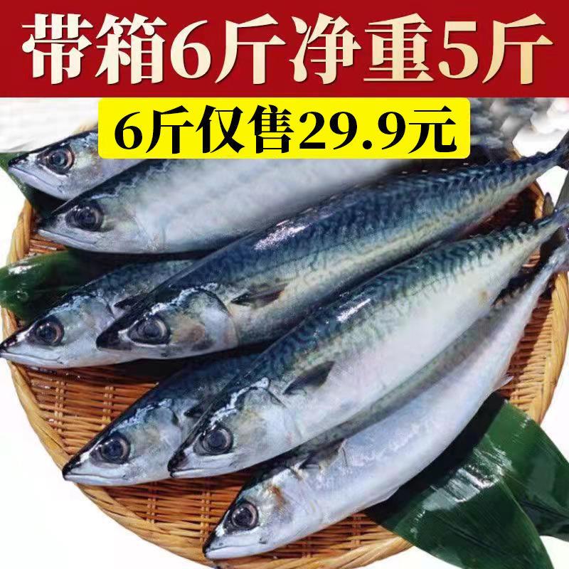 青占鱼鲐鱼鲐鲅鱼整条新鲜冷冻野生青花鱼深海海鱼海鲜水产批发