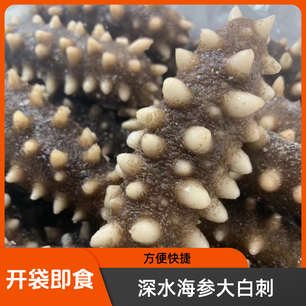 【长海县深水即食海参】大连长海县深水海参大白刺500g开袋解冻即食