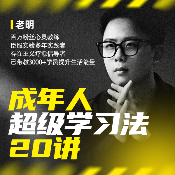 成年人超级学习法20讲