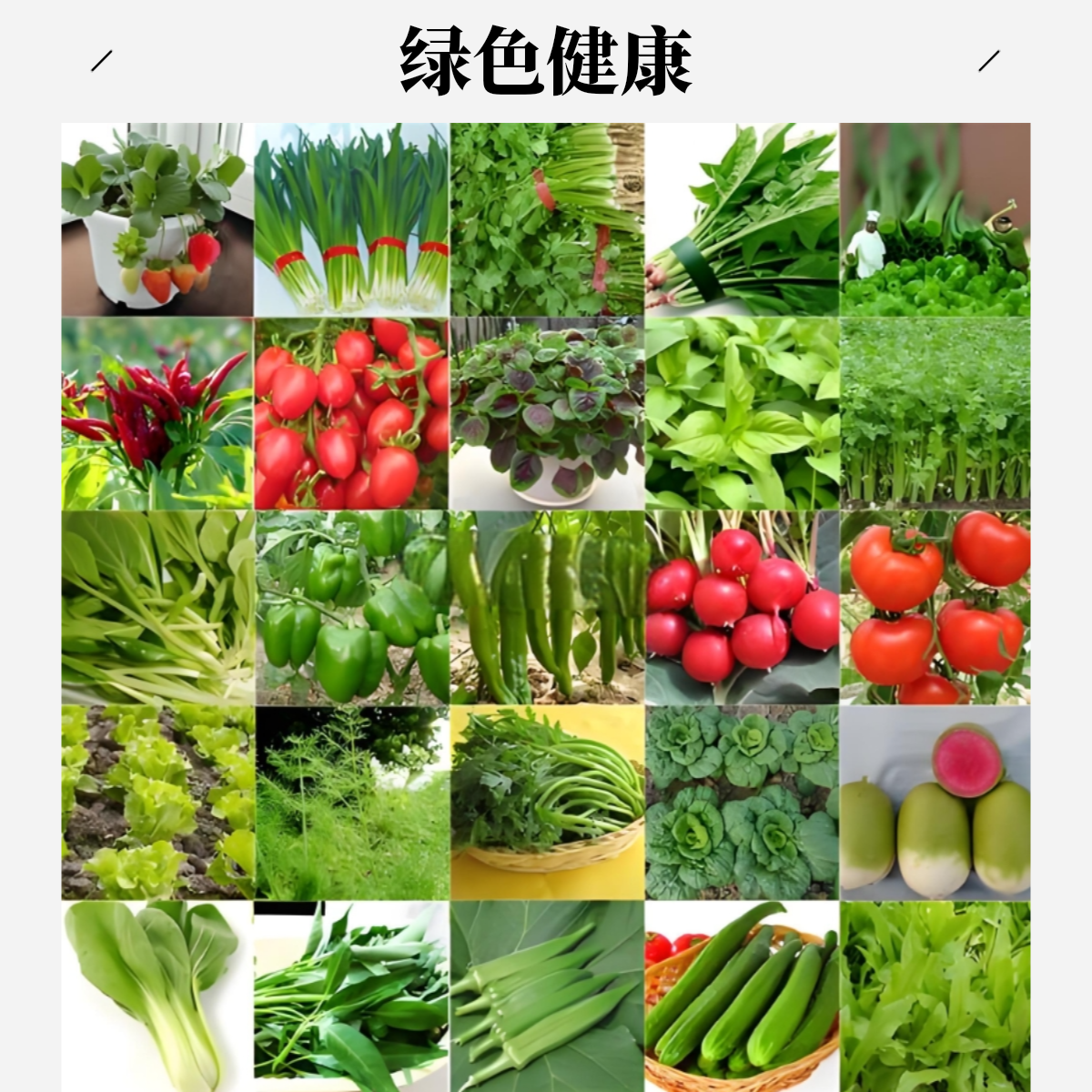 【乡村集市拼单购】 新鲜蔬菜