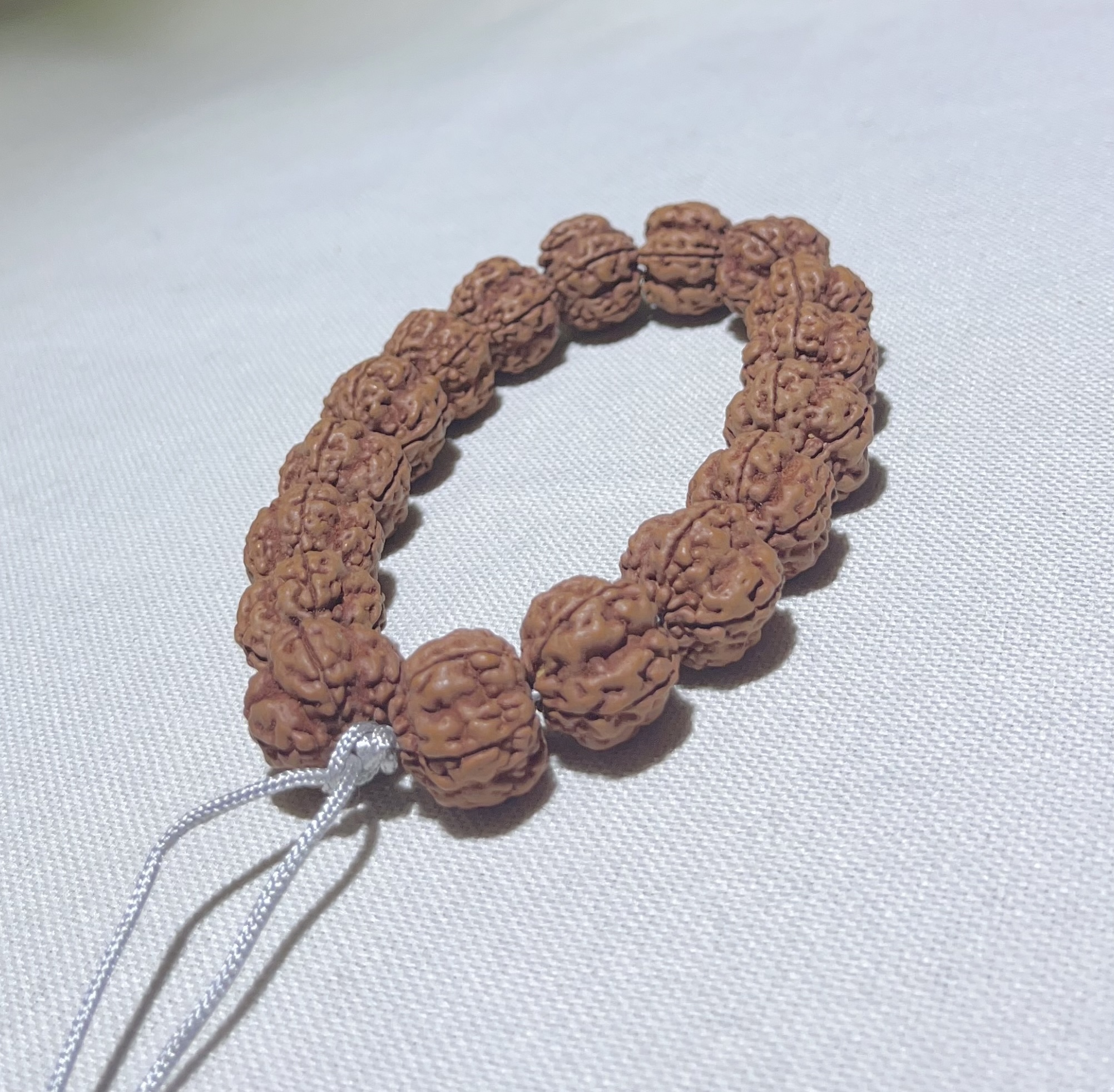 毕业级金刚菩提绝情帝王花手持