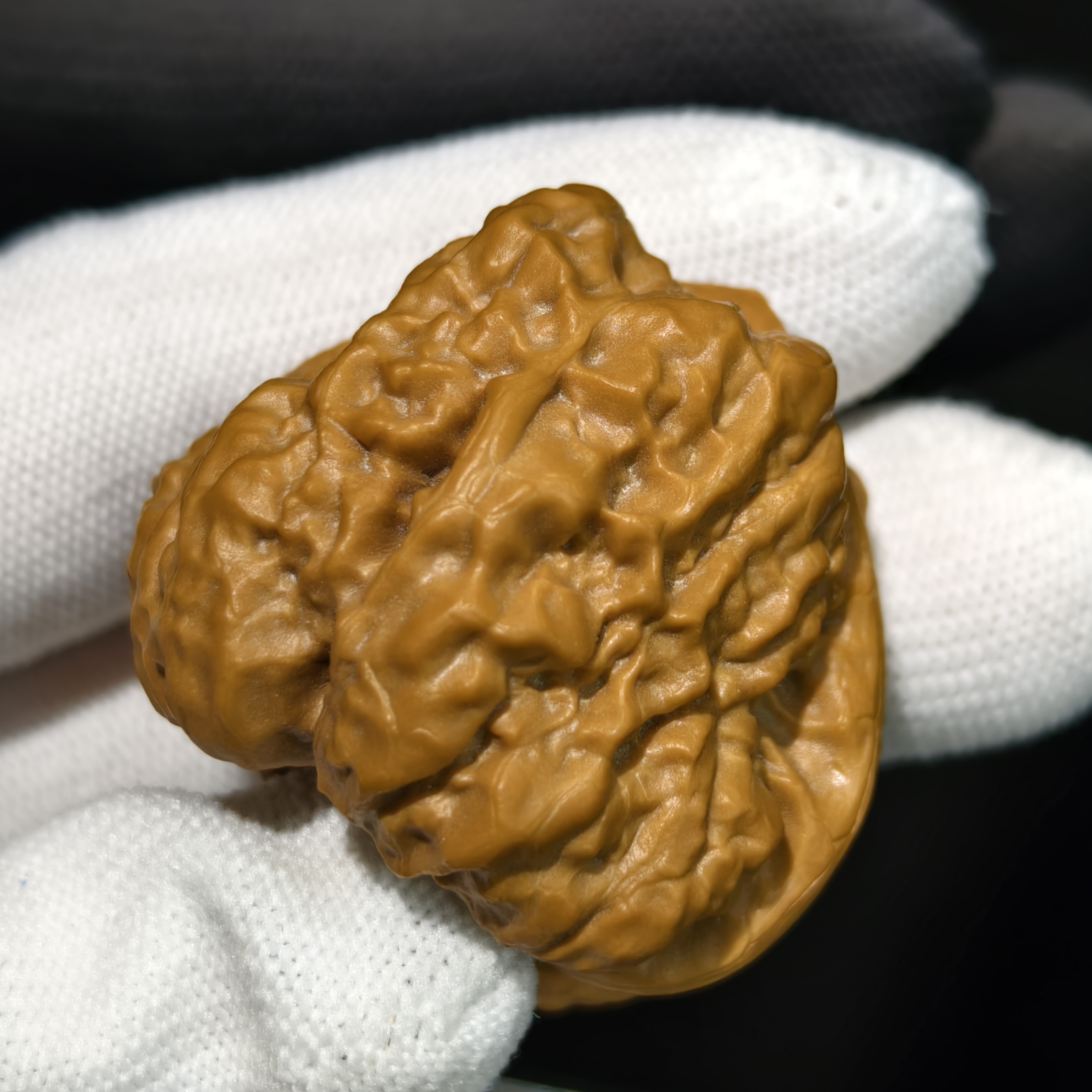 正宗延庆金蟾蛤蟆头文玩核桃精修打底可收藏手把件