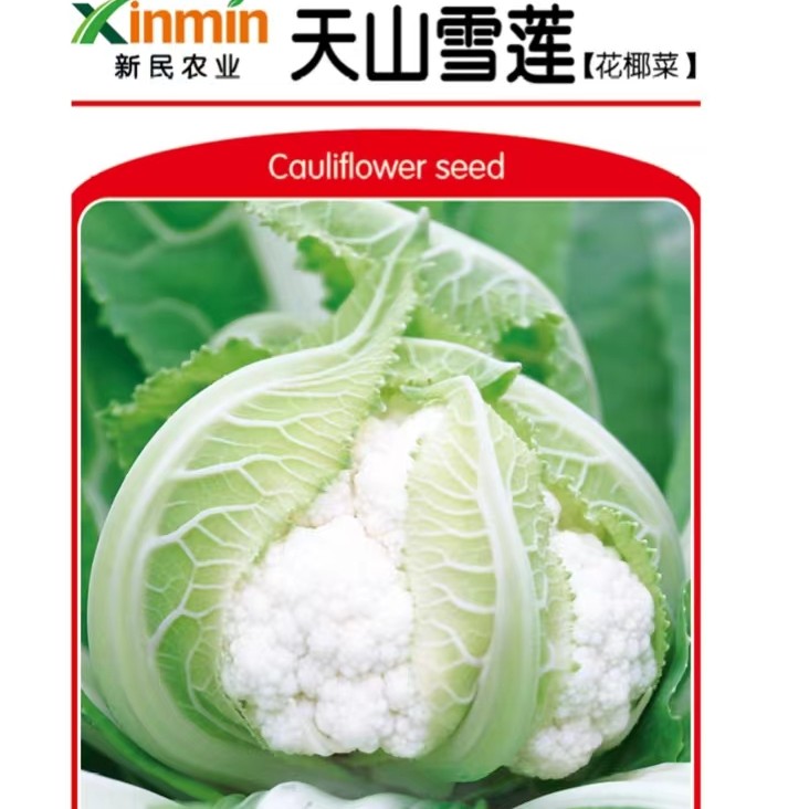 鑫红麟天山雪莲花椰菜