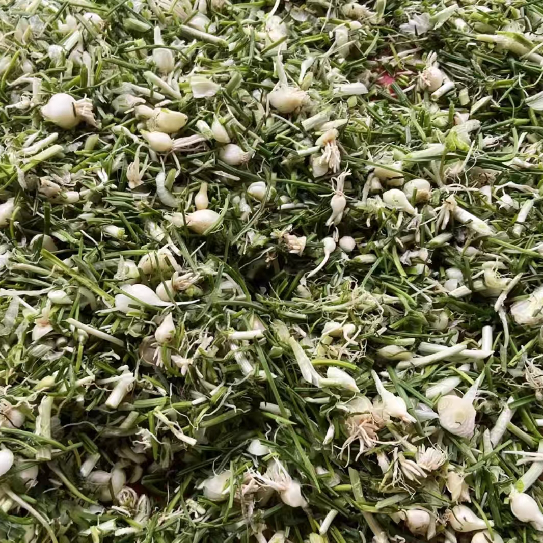 【松柏村农货】农户自制腌野山葱 下饭菜 包邮