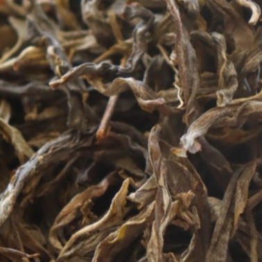 【尖选】121号茶农南迫2023年春茶晒青毛茶