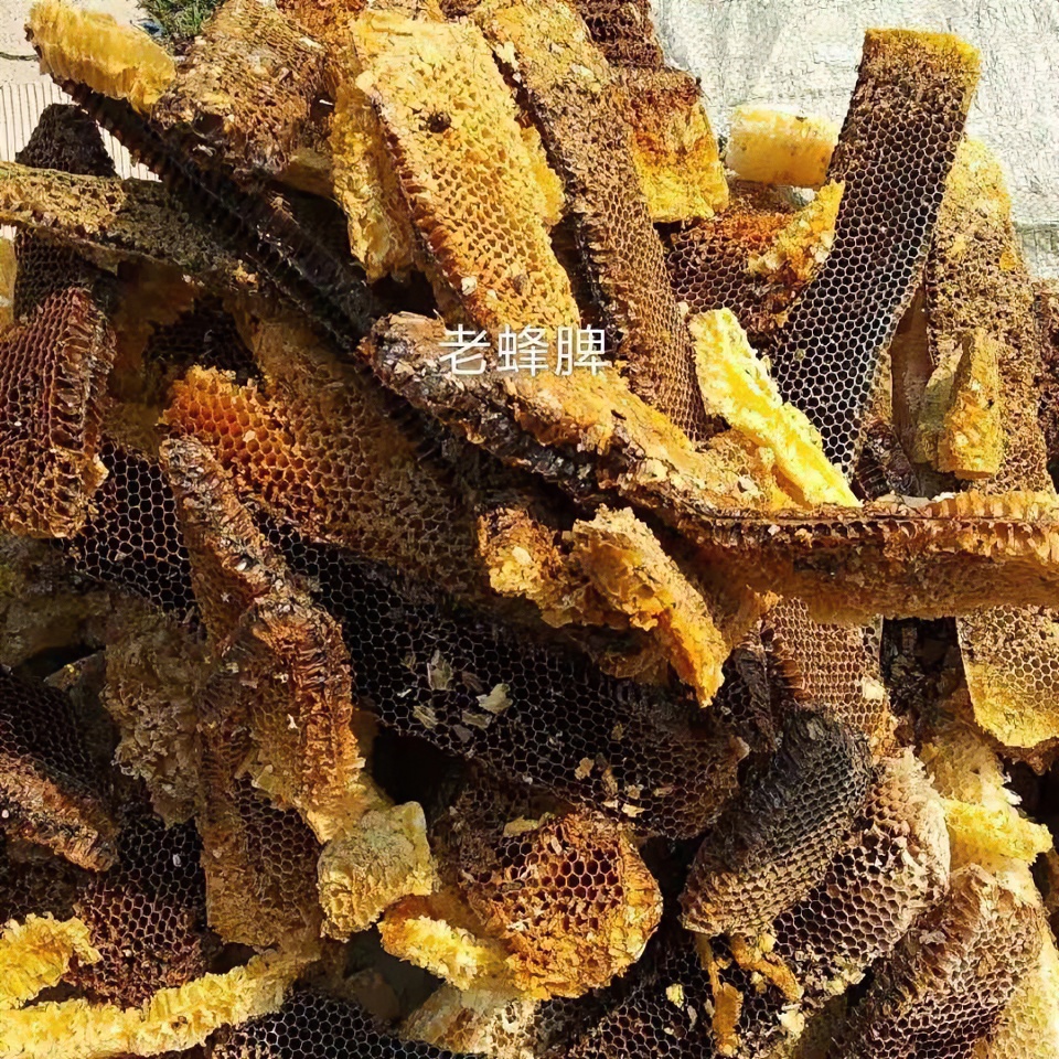 中蜂老巢脾 蜜蜂诱蜂神器 可融化煮腊