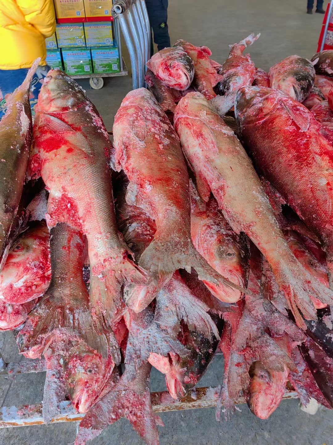 野生鱼产品改价链接