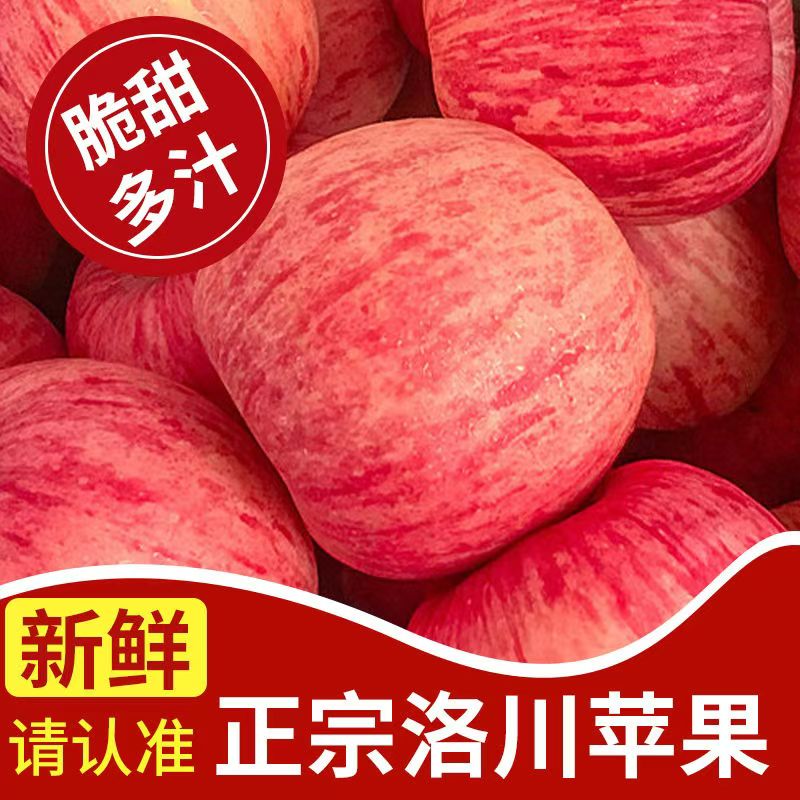 【果臻甜】今年新果 正宗陕西洛川红富士苹果 新鲜应季水果现摘现发
