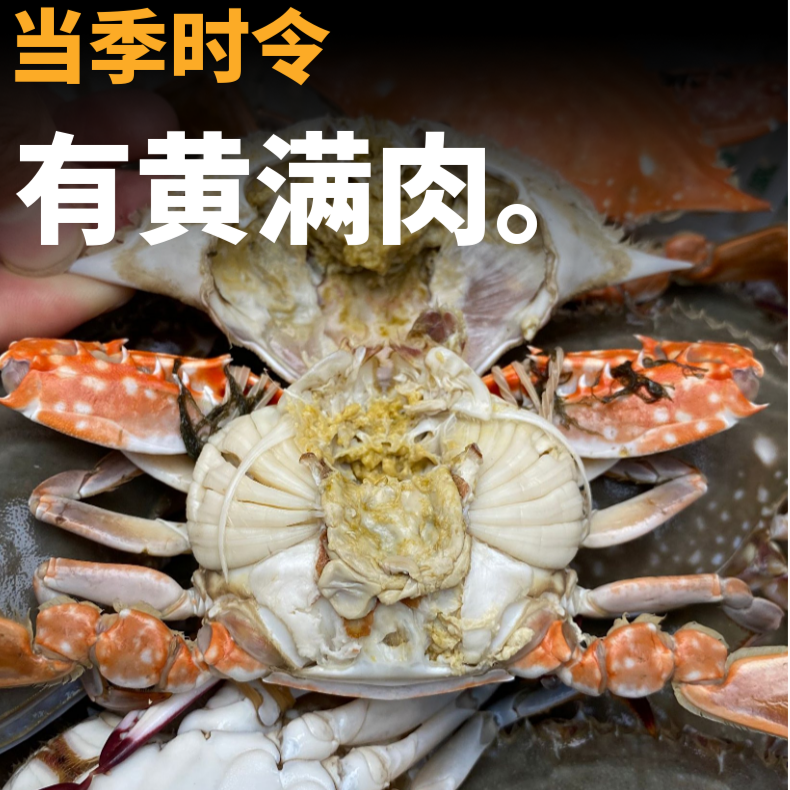 【小满黄】3斤满黄母蟹 8-10只  保鲜保肥 连云港市内保活介意勿拍
