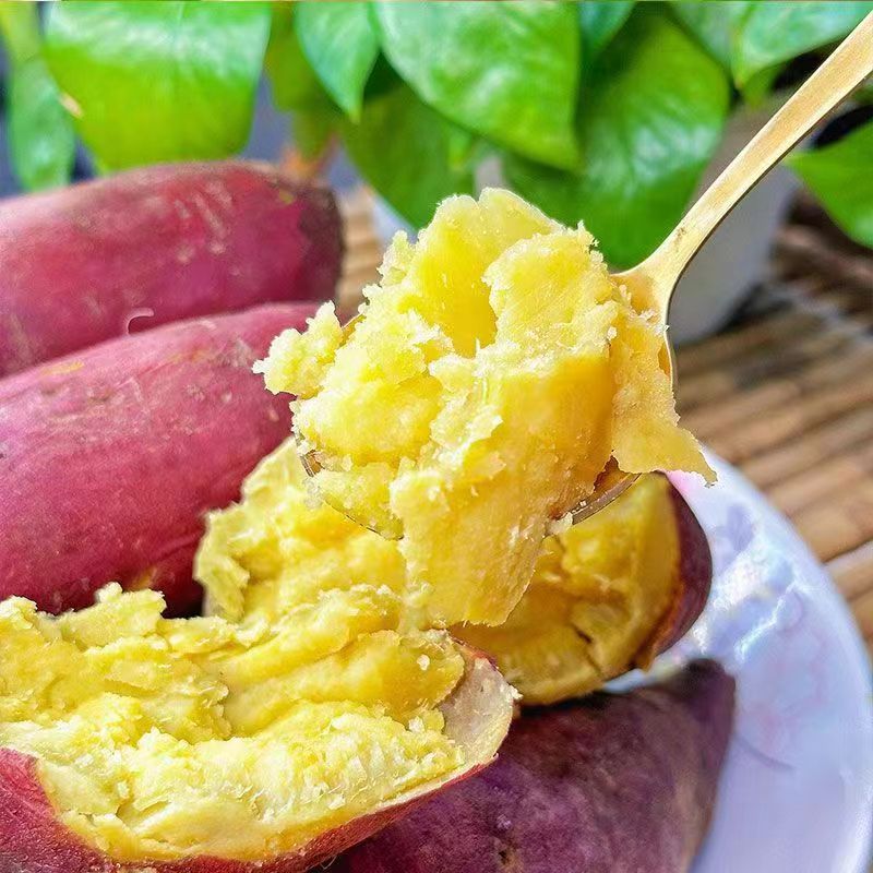 张哥李妹陕西板栗红薯软糯香甜净重5斤坏果包赔 