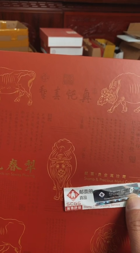 【闪购商品】纸兴拖春梨