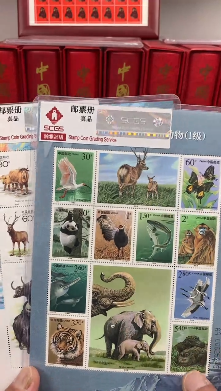 【闪购商品】纸野生动物