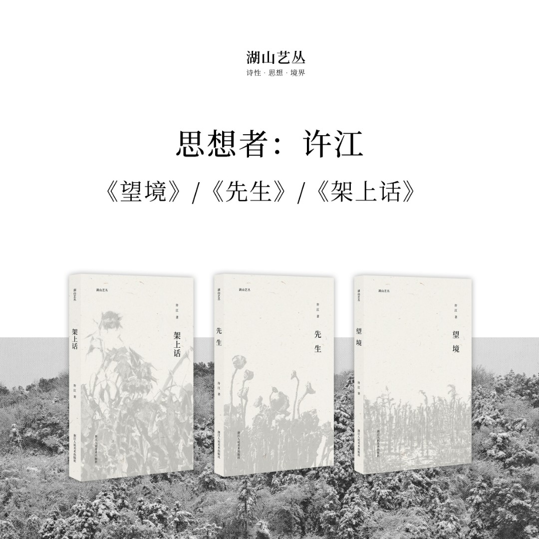 湖山艺丛 许江3本 望境/先生/架上话