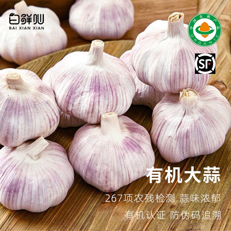 有机大蒜新鲜大蒜多瓣蒜真正纯有机蔬菜新鲜配送到家干蒜1000g