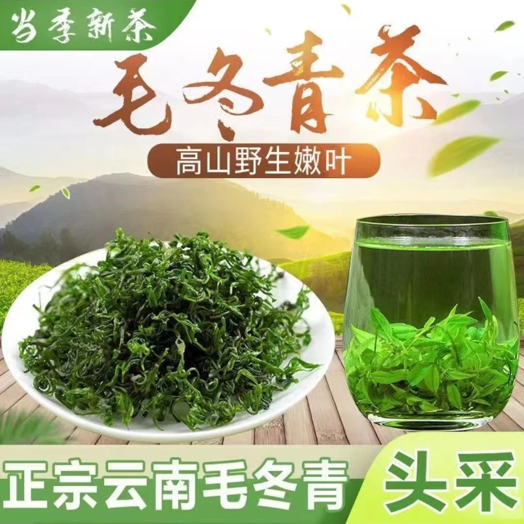【精选】毛冬青云南山货嫩芽散装毛冬青50/250/500克