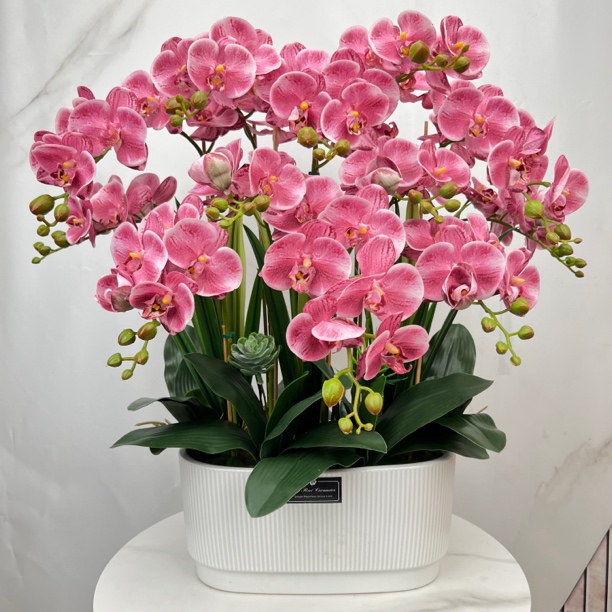 太真了假花仿真花手感保湿蝴蝶兰居家装饰吧台摆放浪漫清新小兰花