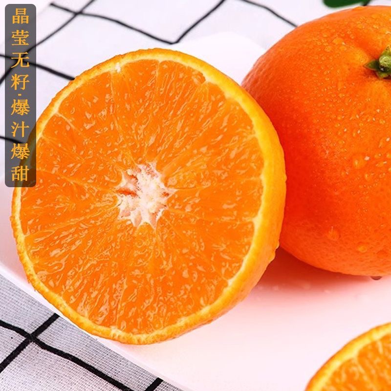 爱媛28号38号果冻橙柑橘 橘子树嫁接南方种植当年结果