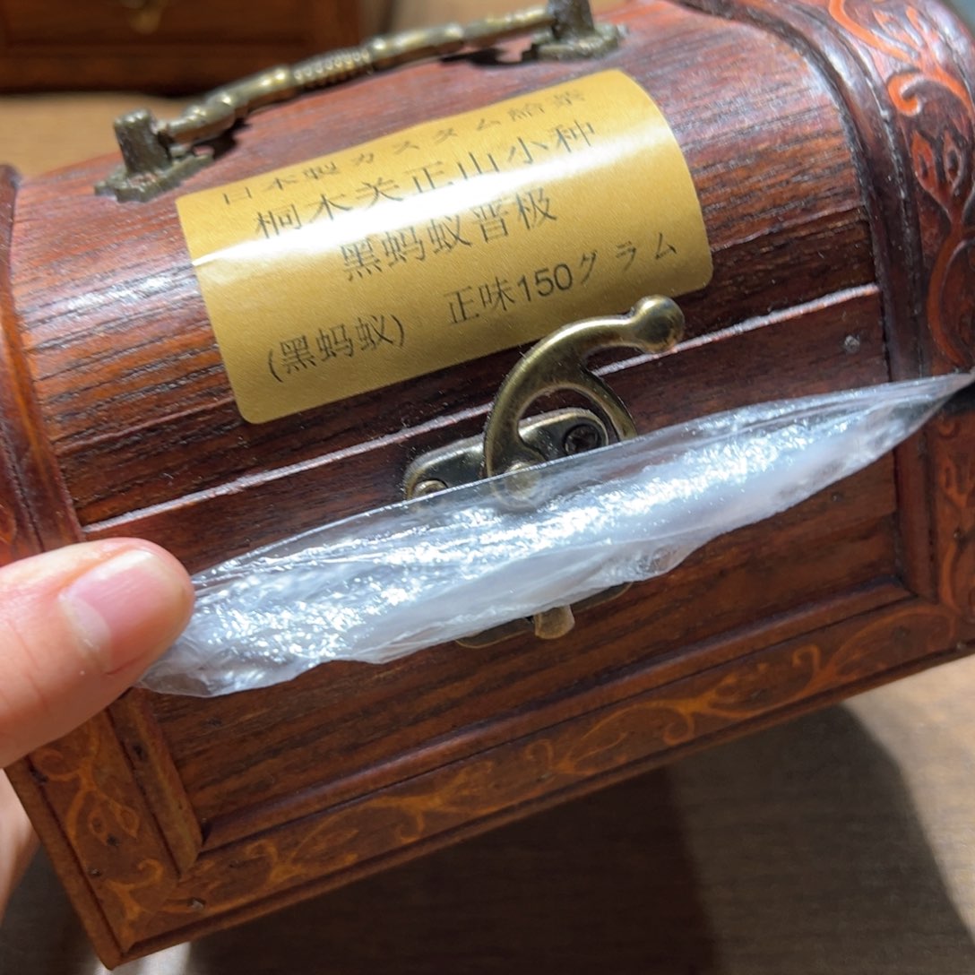 茶盏啊卢金卢金噜旅途