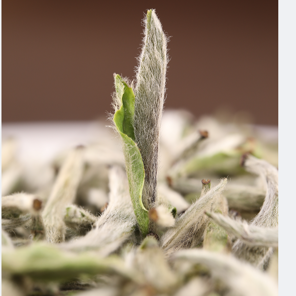 【会员福利】2023特级白毫银针毫香蜜韵花香甜润正品福鼎白茶高端茶