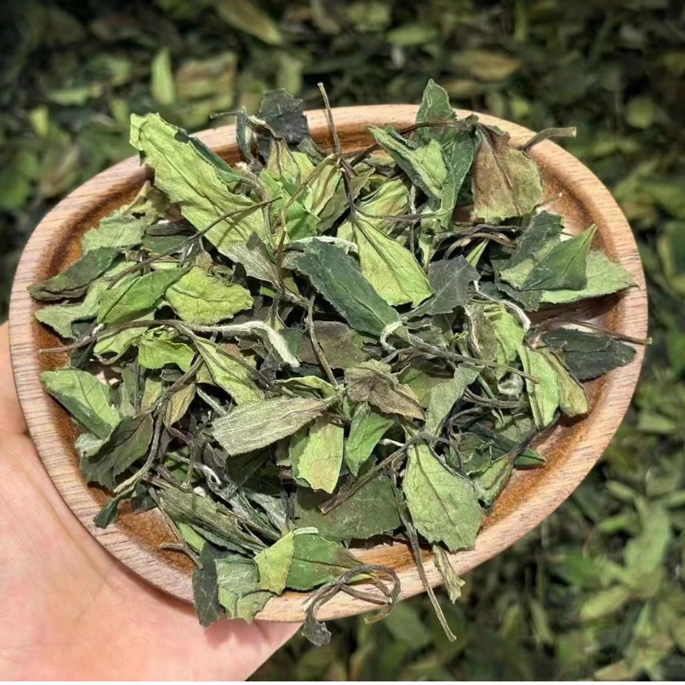 【高性价比】2023花香春寿眉鲜爽清甜福鼎白茶新茶核心高山产区正品