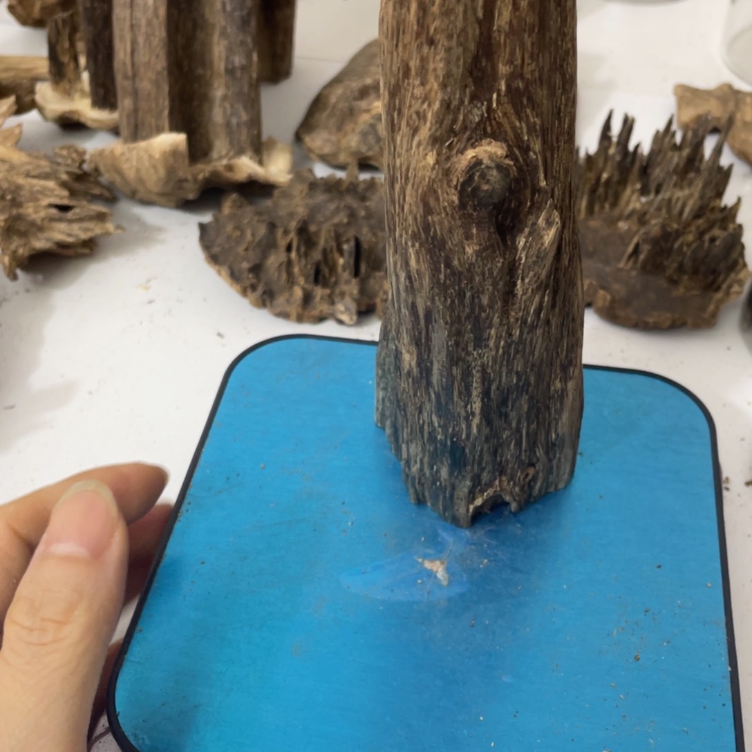 沉香海南沉香虫漏块料104克